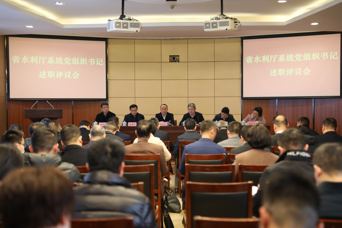省水利厅召开2022年度厅系统党组织书记述职评议会