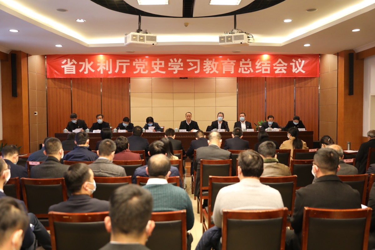 我厅召开党史学习教育总结会议